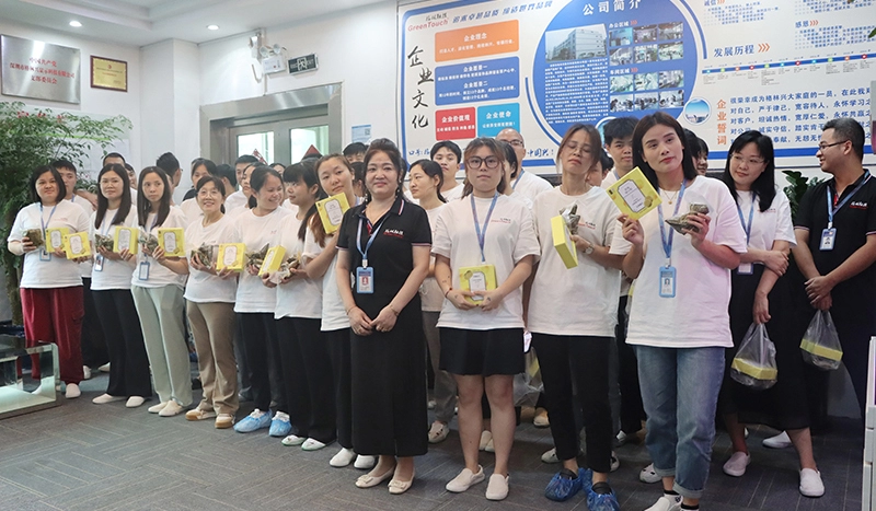 Atividades do Festival de Barcos Drag&atilde;o GreenTouch