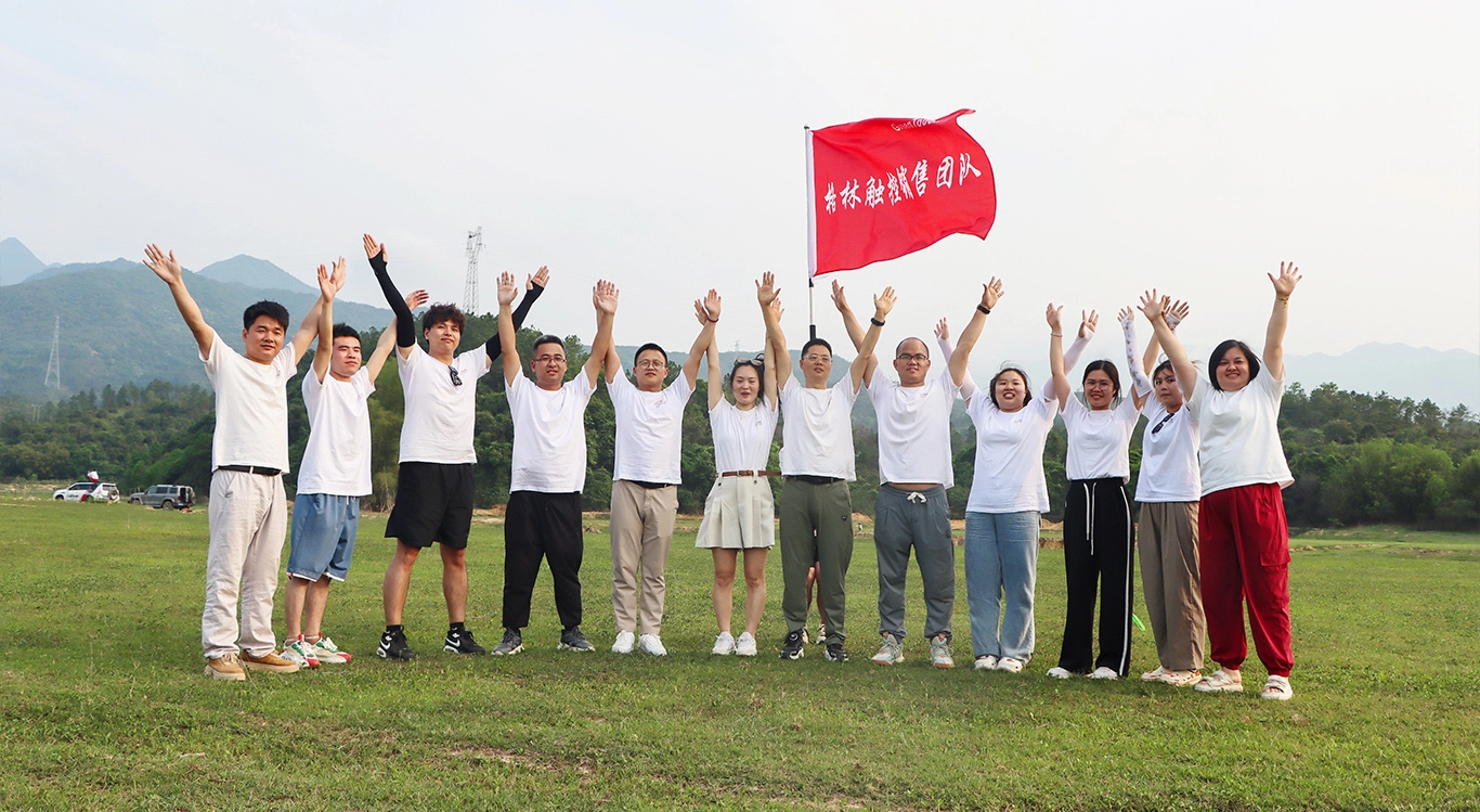 Equipe de Vendas - Programa de Forma&ccedil;&atilde;o de Equipes da GreenTouch Company 2024